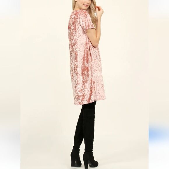 NWT R. Vivimos Velvet Shift Dress - Picture 12 of 12